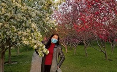 narutohaiteixxxx玖辛奈